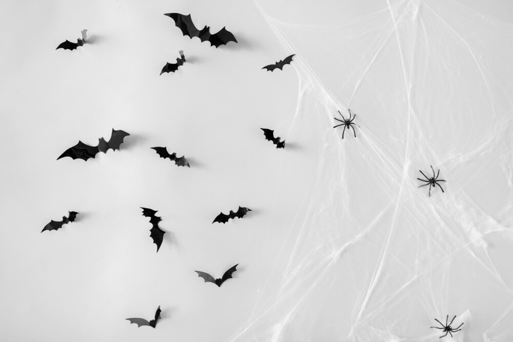 halloween spiderwebs