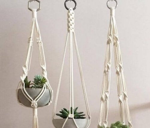 Succulents make up an inside hanging garden