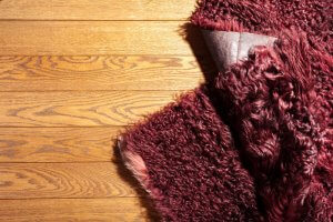 A close-up picture shows a rug furled over itself on top of a hardwood floor.