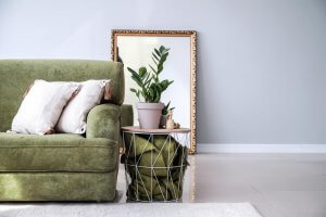 7 Home Decor Rules