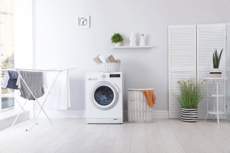 The Home Appliance That's Gaining in Global Popularity: The Dryer