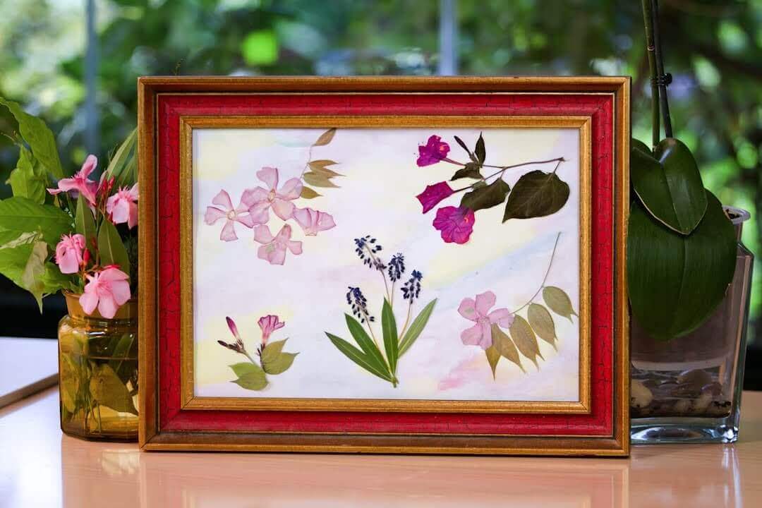 flower petals framed