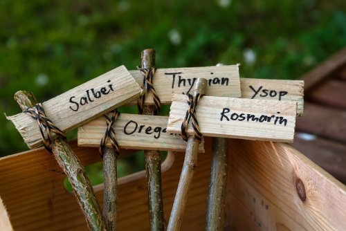 Signs to label fresh spices.