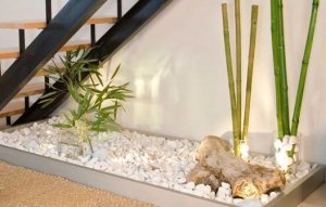 A garden in the house.