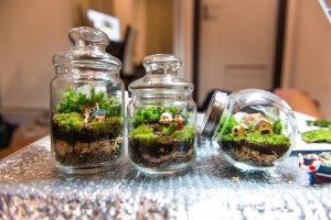 Glass jars containing plants.