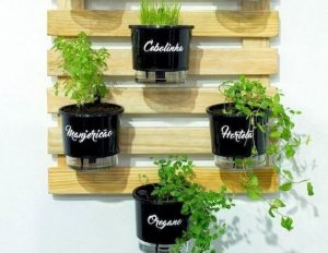 Herb plants hanging from a wooden pallet.