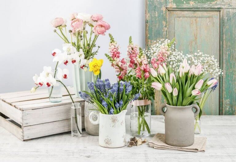 Going Beyond Traditional Ideas: Original Flower Vases