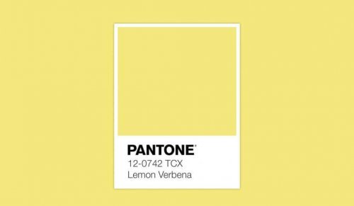 Lemon Verbena is a yellow.