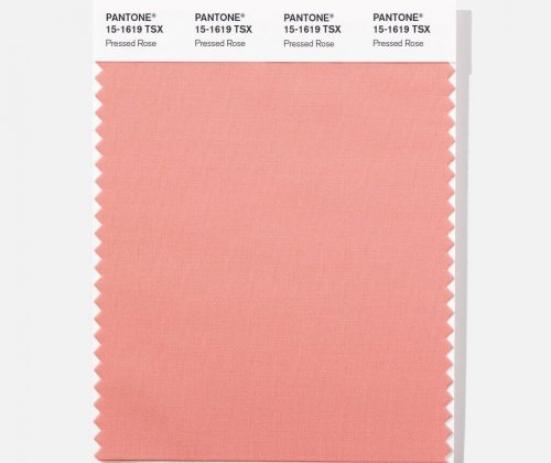 Pressed Rose is another of the spring Pantone colors.