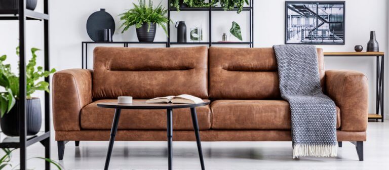 The Advantages and Disadvantages of Leather Sofas