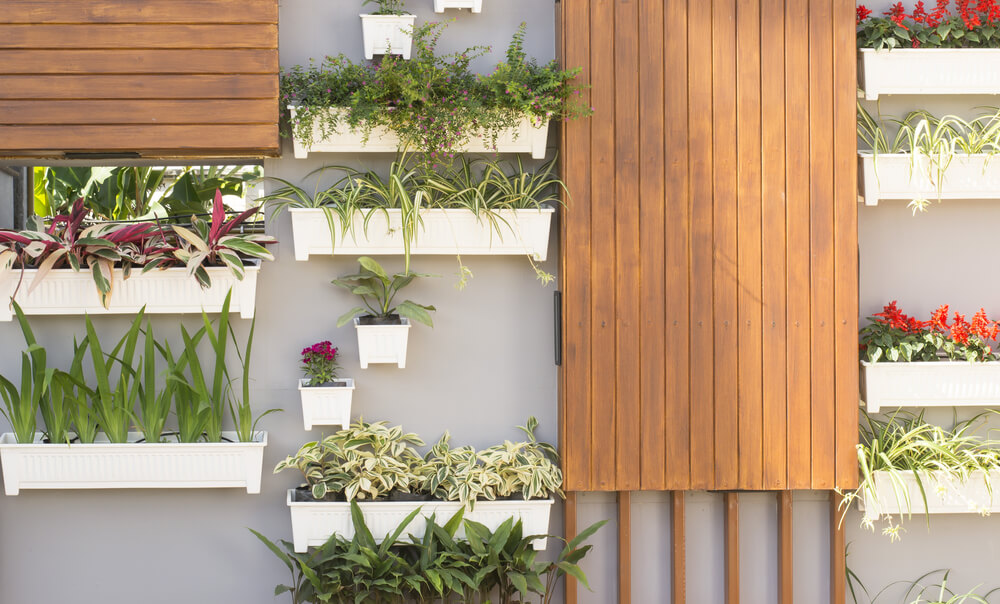 vertical garden guidelines