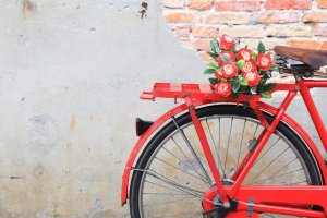 A bike being used as a planter.