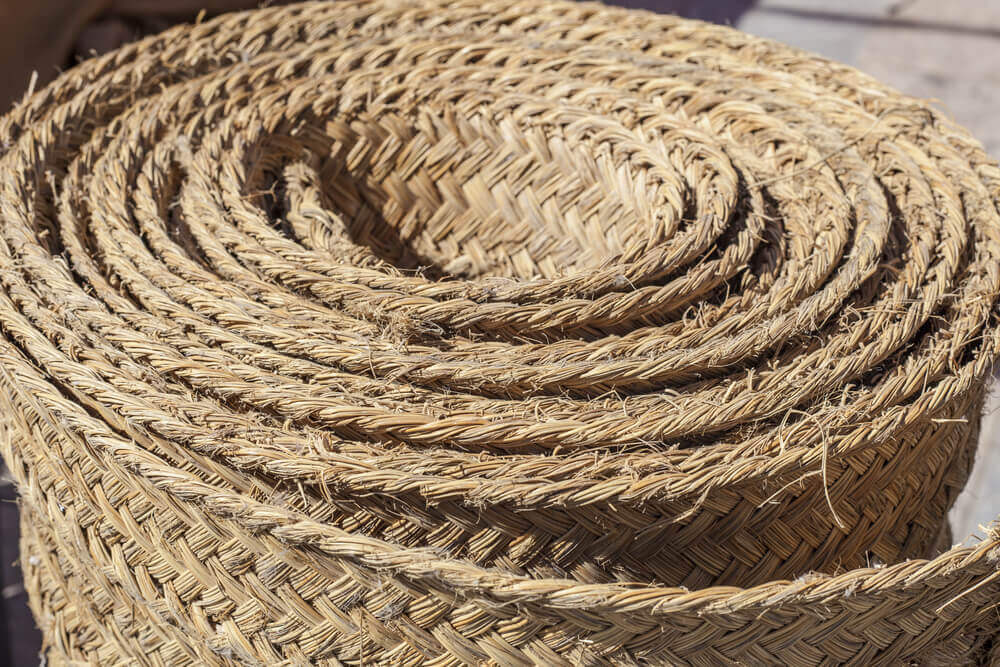 esparto grass what is it