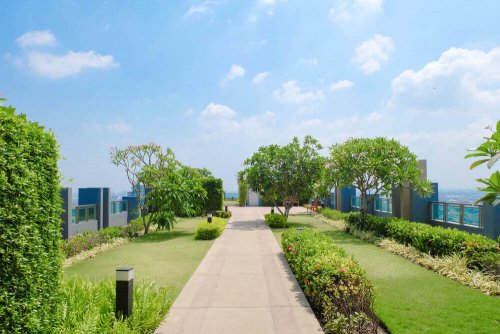Green Roofs: Everything you Need to Know