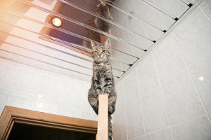 3 Guidelines for Ceiling Mirrors