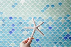 Decorate your Bathroom with Fish Scale Tiles