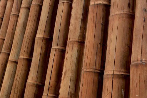 Guadua Bamboo - A Trendy Material