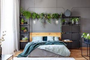 A master bedroom layout with lots of shelves and plants. 