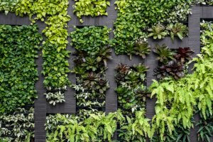 Types of Garden Wall for Your Home