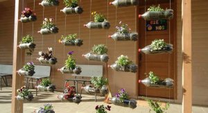 Plastic bottle hanging garden.