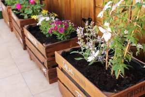 Recycled wooden planters.