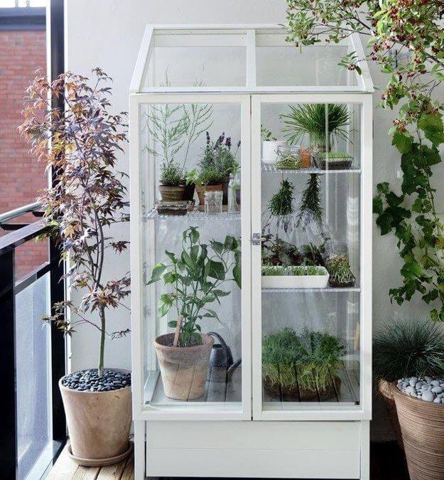 balcony garden greenhouse