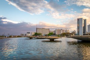 Burle Marx and the Birth of Modern Landscape Architecture