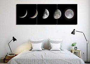 Astronomy related wall panels make great decorations. 