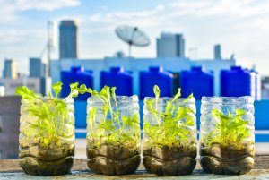 11 Simple Ways to Reduce Plastic Waste at Home