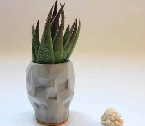 A geometric planter.