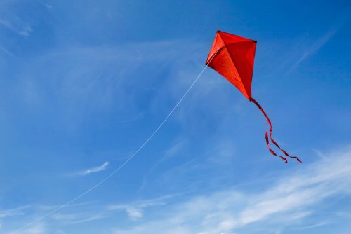 A red kite.