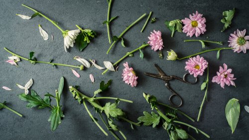Cut flowers on a table.