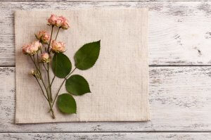 Vases with Dried Flowers - Here Are the Best Types!