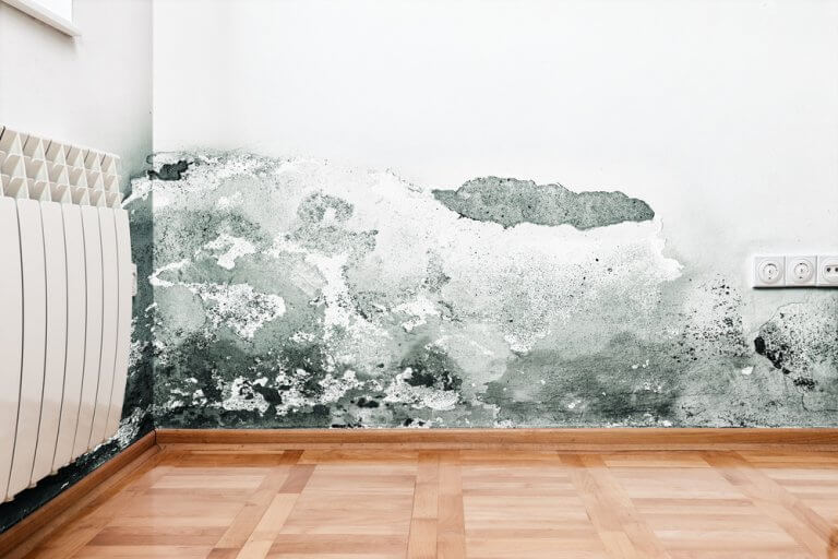 Types of Moisture Problems that Can Affect Your Walls