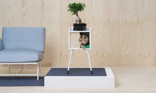 A cat it a bed from IKEA's pet collection.