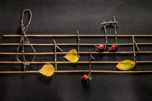 Music Selection for an Elegant Dinner