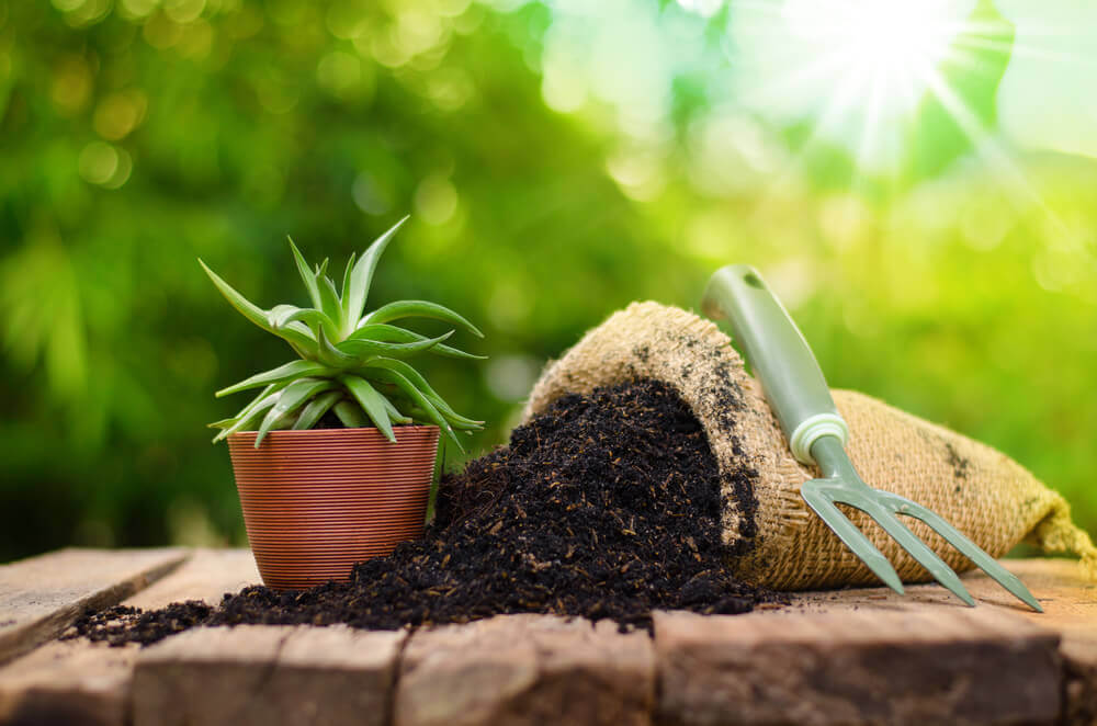 care home plants fertilizer