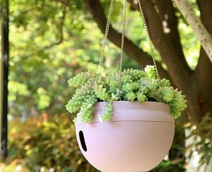 Hanging plant pots.