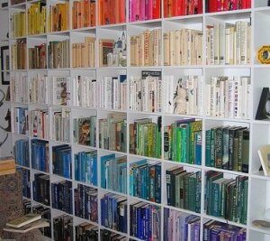Color-coordinated libraries - compartment shelves.
