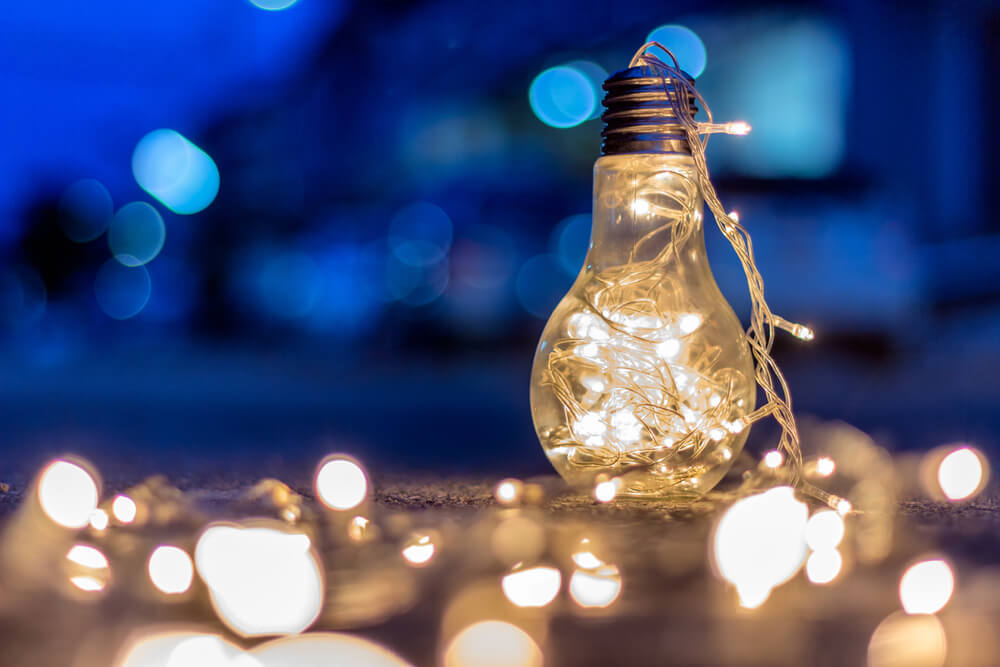 reuse lightbulbs terrarium