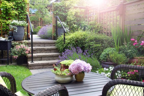 How to Choose and Combine Plants for Your Garden