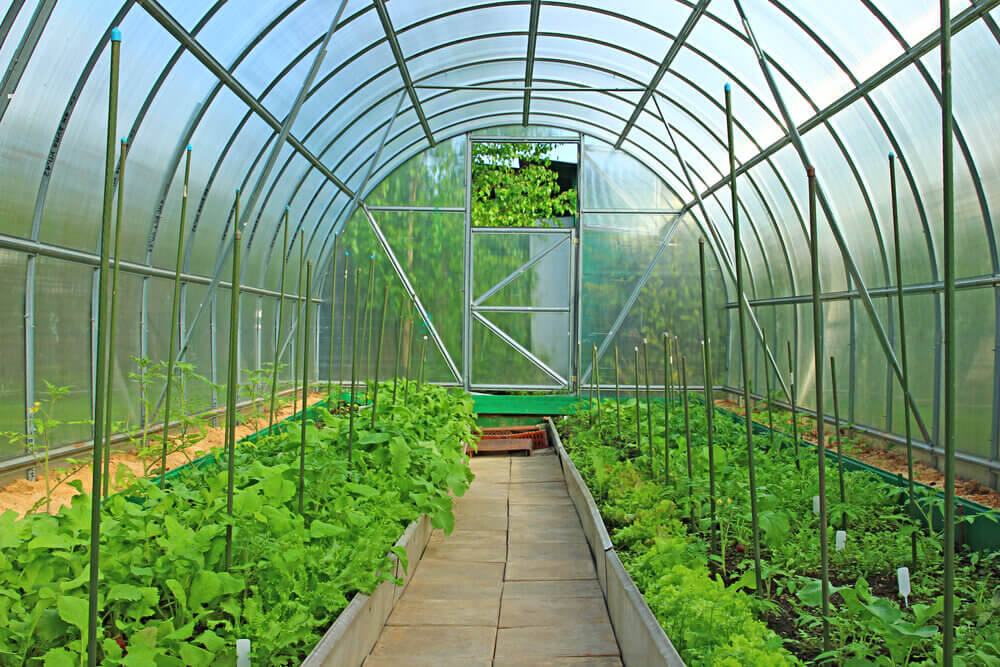 polycarbonate sheets greenhouses