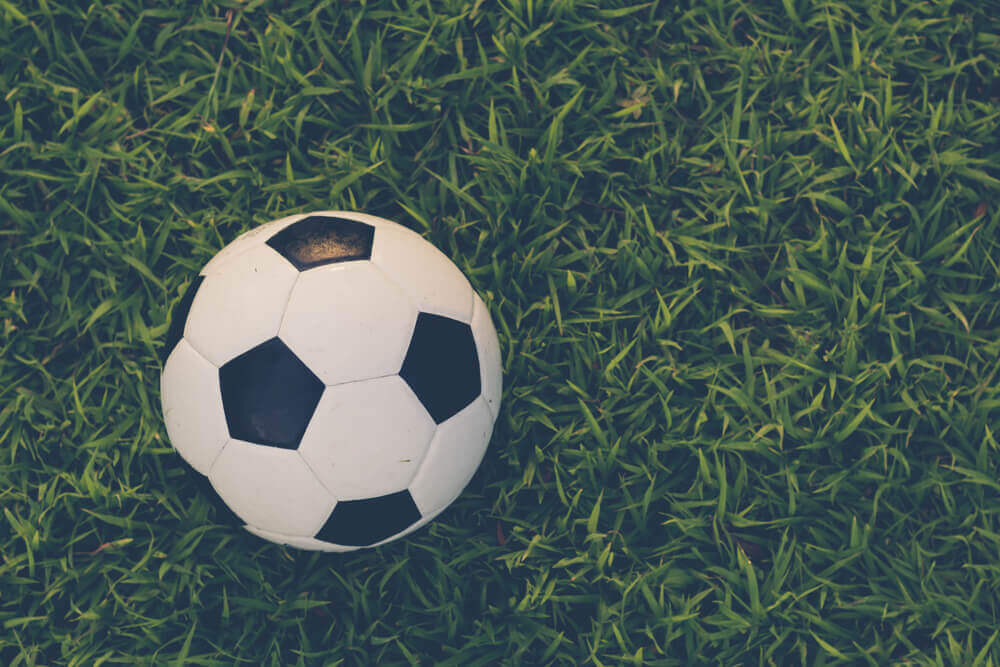 Set Up a Soccer Field in Your Backyard - Decor Tips