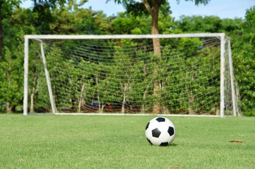 Set Up a Soccer Field in Your Backyard