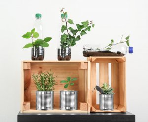 Unique Recycled Decor Using Plastic Bottles