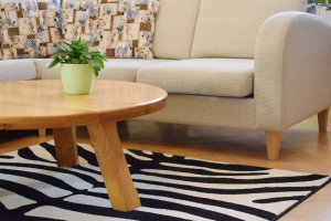 Zebra Print for Home Decor