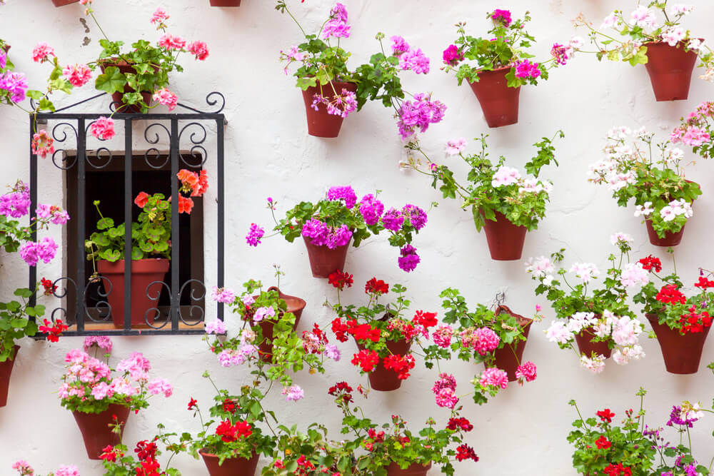 Andalusian courtyard flowerpots