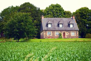 Which Materials Are Used to Build Country Houses?