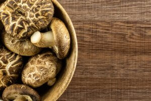 Decorating with Dried Mushrooms and Fungi