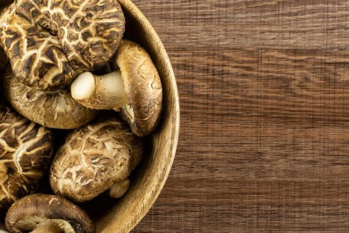 Decorating with Dried Mushrooms and Fungi